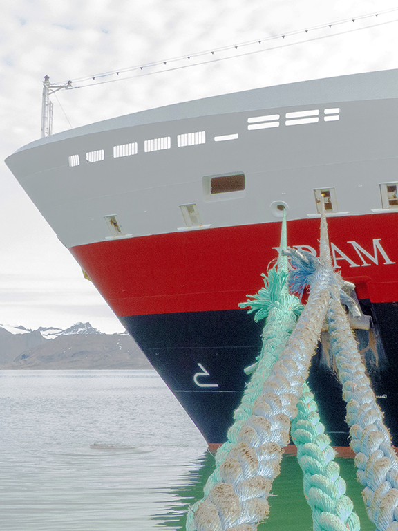 20260626 fokusAustellung